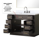 Lexora Abbey 48 in W x 22 in D Single Bath Vanity, Carrara Marble Top, Faucet Set