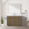 Lexora Abbey 48 in W x 22 in D Single Bath Vanity and Carrara Marble Top