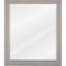 Jeffrey Alexander 24 W x 1" D x 28" H Cade Mirror Vanity