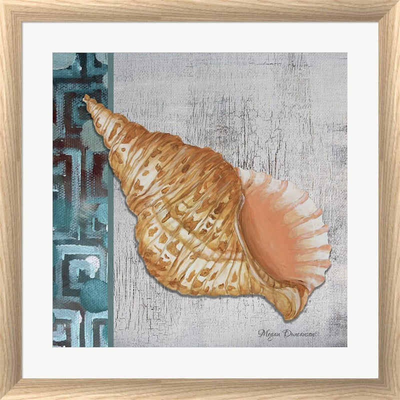 Megan Duncanson Spotted Conch Seashell - Side Border And Gray Crackle Back White Washed Rounded Oatmeal Faux Wood R808566-AEAEAGJEMY