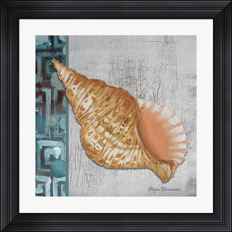 Megan Duncanson Spotted Conch Seashell - Side Border And Gray Crackle Back Contemporary Stepped Solid Black with Satin Finish R808566-AEAEAGME8E