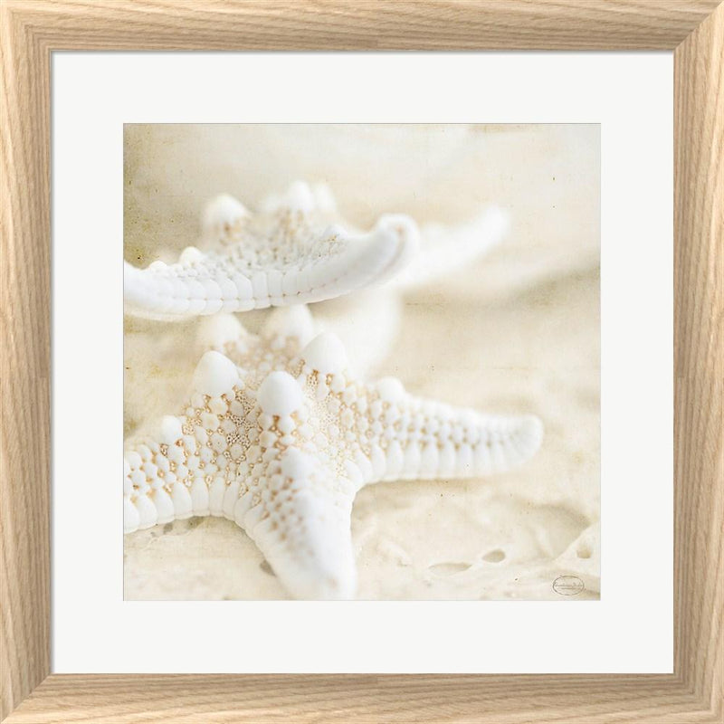 Brookview Studio Seashore Stars White Washed Rounded Oatmeal Faux Wood R817694-AEAEAGJEMY