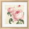 Katie Pertiet Roses in Paris VI White Washed Rounded Oatmeal Faux Wood R858940-AEAEAGJEMY