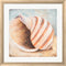 Patricia Pinto Seashell Collection I White Washed Rounded Oatmeal Faux Wood R870863-AEAEAGJEMY