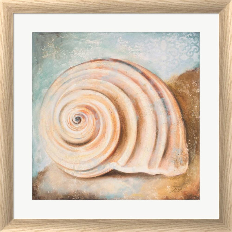 Patricia Pinto Seashell Collection IV White Washed Rounded Oatmeal Faux Wood R870866-AEAEAGJEMY