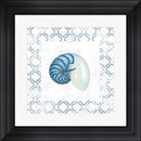 Emily Adams Navy Nautilus Shell on Newsprint Contemporary Stepped Solid Black with Satin Finish R873797-AEAEAGME8E