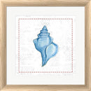 Emily Adams Navy Conch Shell on Newsprint with Red White Washed Rounded Oatmeal Faux Wood R873805-AEAEAGJEMY