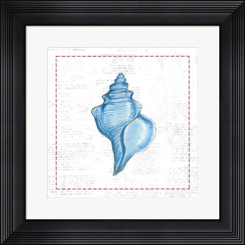 Emily Adams Navy Conch Shell on Newsprint with Red Contemporary Stepped Solid Black with Satin Finish R873805-AEAEAGME8E
