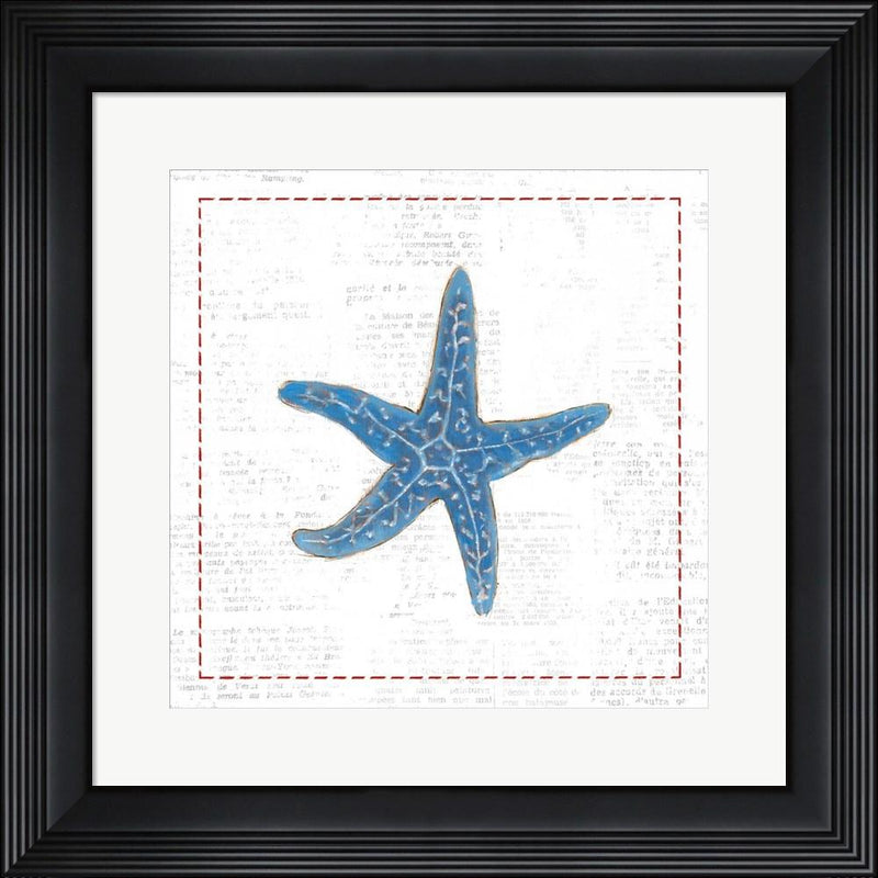 Emily Adams Navy Starfish on Newsprint with Red Contemporary Stepped Solid Black with Satin Finish R873808-AEAEAGME8E