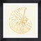 Anne Tavoletti Coastal Breeze Shell Sketches VII Contemporary Stepped Solid Black with Satin Finish R881364-AEAEAGME8E