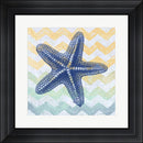 Jean Plout Chevron Star Fish Contemporary Stepped Solid Black with Satin Finish R884032-AEAEAGME8E