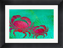 Cora Niele Two Crabs In Seaweed Contemporary Stepped Solid Black with Satin Finish R893103-AEAEAGME8E