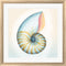 Elyse DeNeige Boardwalk Nautilus White Washed Rounded Oatmeal Faux Wood R948585-AEAEAGJEMY