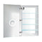 Krugg Svange 24" X 42" LED Medicine Cabinet with Dimmer and Defogger SVANGE2442R