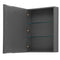 Wyndham Daria 36" Single Bathroom Vanity In Dark Gray No Countertop No Sink and Medicine Cabinet WCV252536SKGCXSXXMED