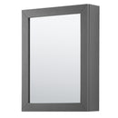 Wyndham Daria 60" Double Bathroom Vanity In Dark Gray No Countertop No Sink and Medicine Cabinet WCV252560DKGCXSXXMED