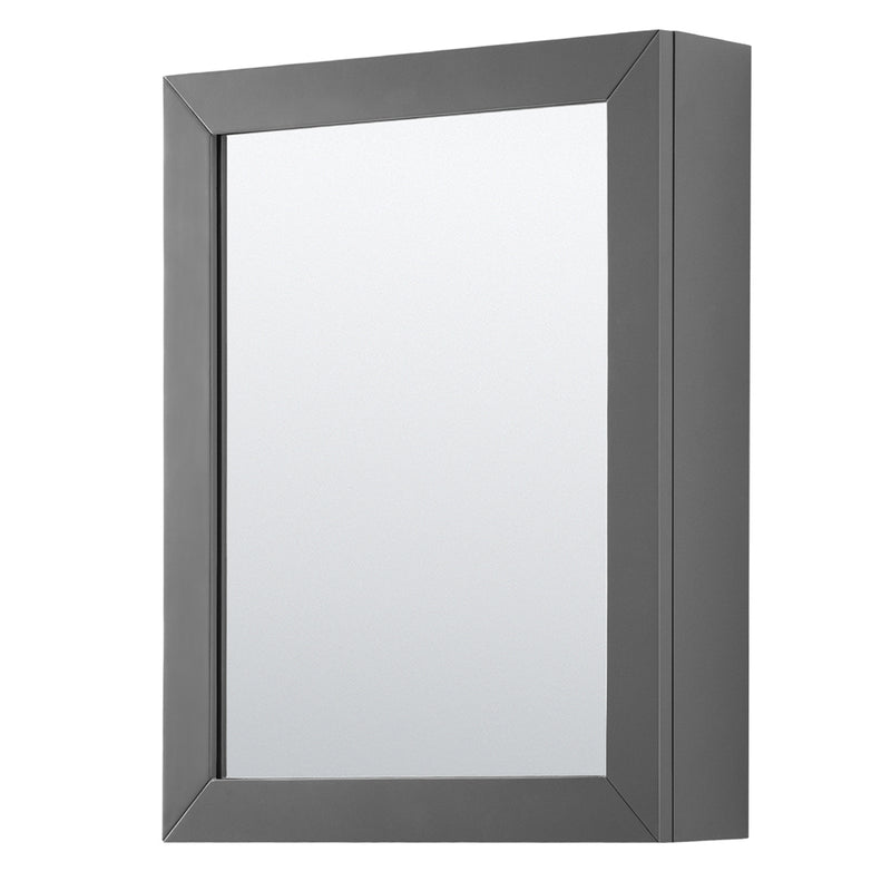 Wyndham Daria 36" Single Bathroom Vanity In Dark Gray No Countertop No Sink and Medicine Cabinet WCV252536SKGCXSXXMED