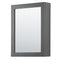 Wyndham Daria 48" Single Bathroom Vanity In Dark Gray No Countertop No Sink and Medicine Cabinet WCV252548SKGCXSXXMED