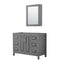 Wyndham Daria 48" Single Bathroom Vanity In Dark Gray No Countertop No Sink And Medicine Cabinet WCV252548SKGCXSXXMED