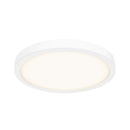Dals Lighting 14" Round Indoor and Outdoor LED Flush Mount CFLEDR14-CC-WH