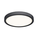 Dals Lighting 14" Round Indoor and Outdoor LED Flush Mount CFLEDR14-CC-BK