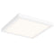 Dals Lighting 14" Square Indoor and Outdoor LED Flush Mount CFLEDSQ14-CC-WH