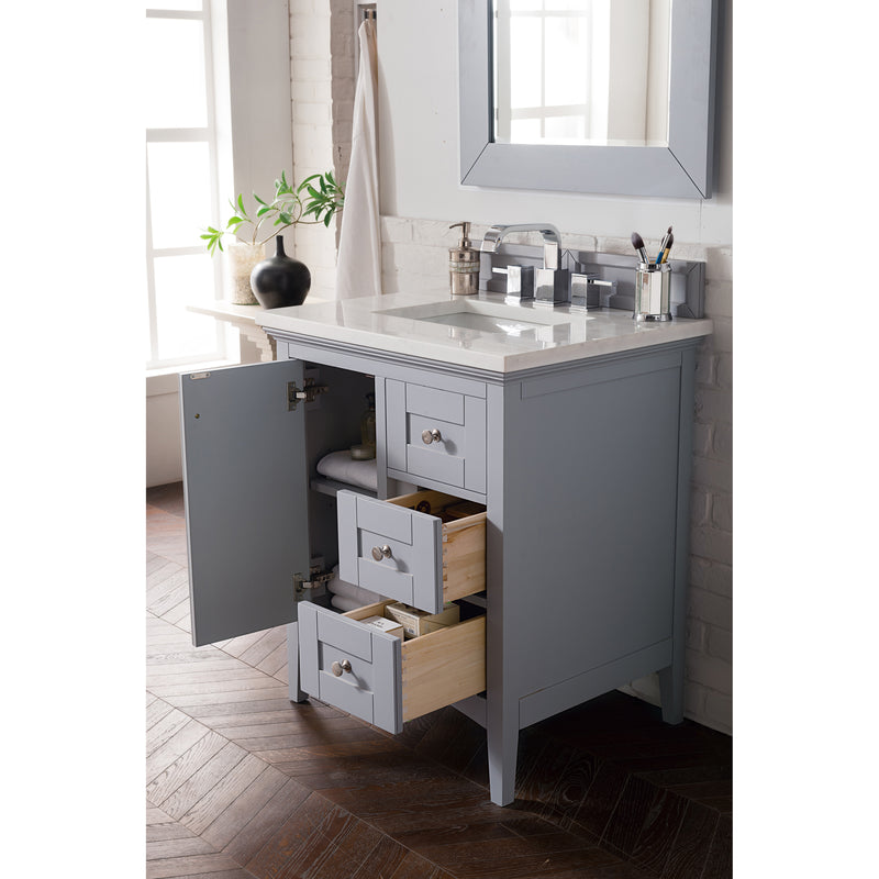 James Martin Palisades 30" Single Vanity Silver Gray with 3 cm Arctic Fall Solid Surface Top 527-V30-SL-3AF