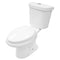 LT1D Dual Flush Elongated Two-Piece Ceramic Toilet Toilet LT1D