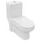 One-Piece Modern Toilet LT9 Single Flush Toilet LT9