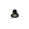 Dals Lighting 2" Round Indoor and Outdoor Regressed Gimbal Down Light RGR2-CC-BK