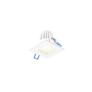 Dals Lighting 2" Square Indoor and Outdoor Regressed Gimbal Down Light RGR2SQ-CC-WH