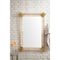 James Martin Sarasota 35.4" Mirror Polished Gold and Lucite 999-M35.4-PG-LU